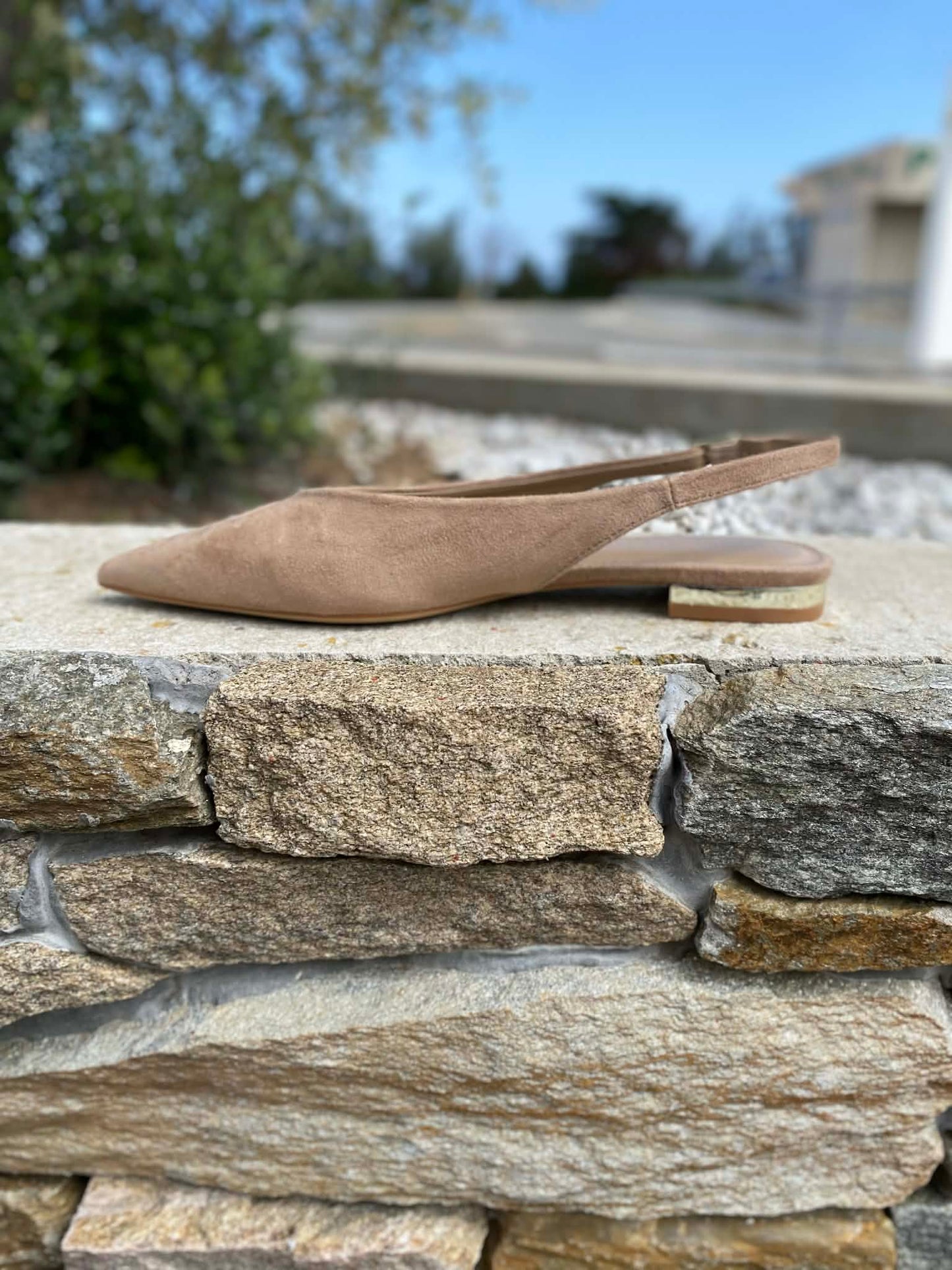 BALLERINE 06026MF By PRIMADONNA