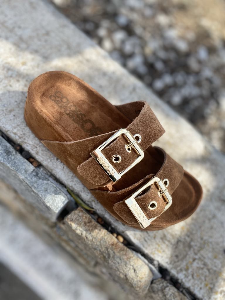 MULE COMPENSEE DUNE02 By COLORS OF CALIFORNIA