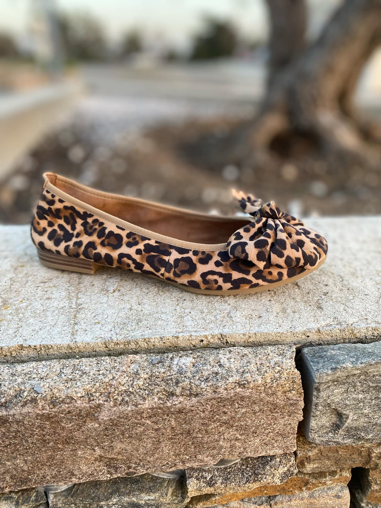 BALLERINE NOEUD 22141H27 By TAMARIS