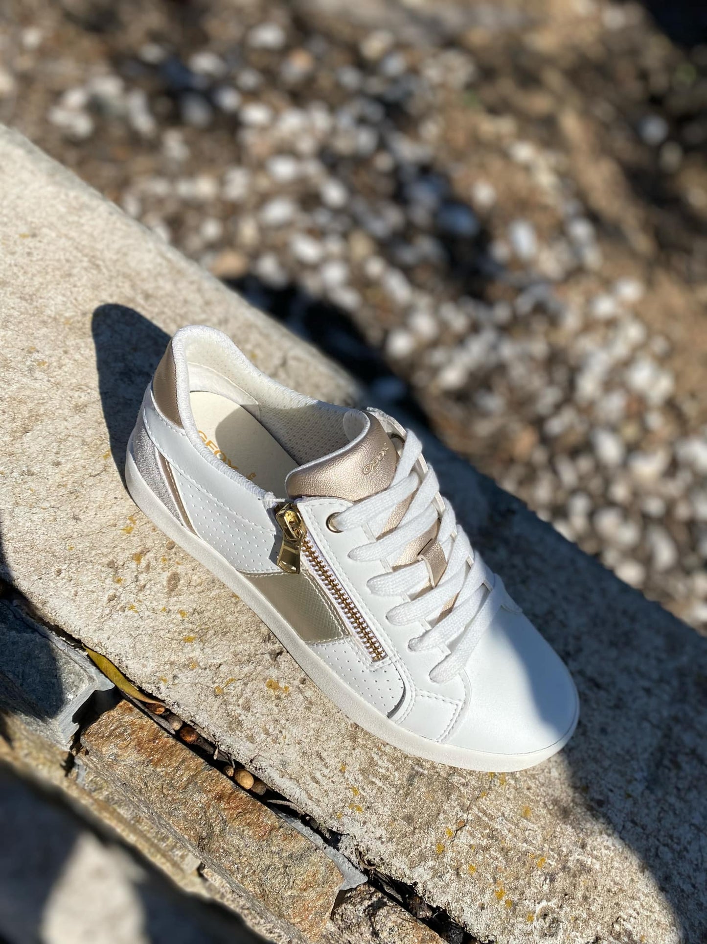 SNEAKERS BLOMIEE By GEOX