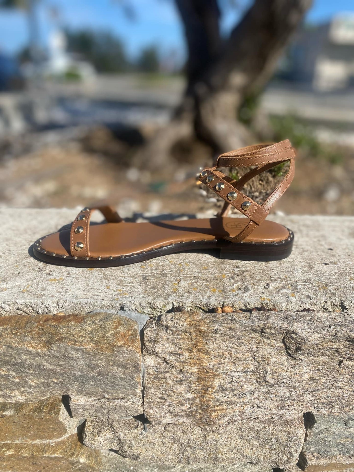 SANDALE BIJOUX PENNY By ASH