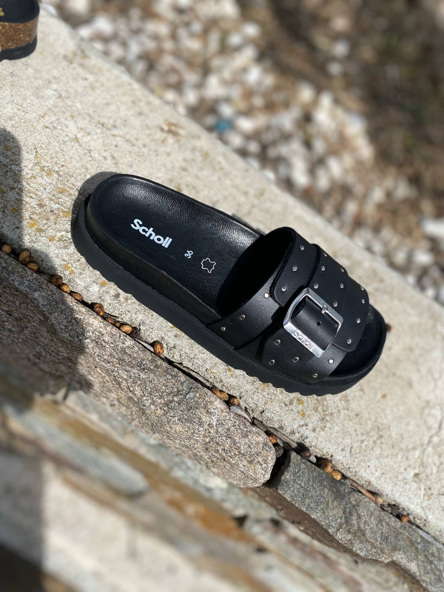 MULE BANDE LARGE JOYCE By SCHOLL