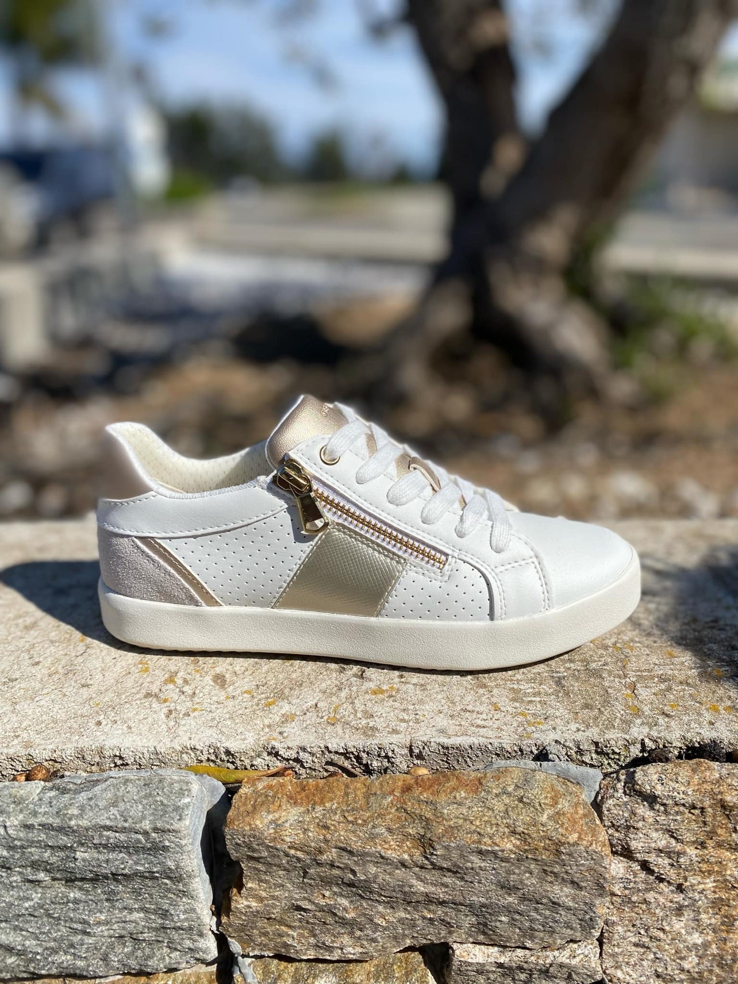 SNEAKERS BLOMIEE By GEOX