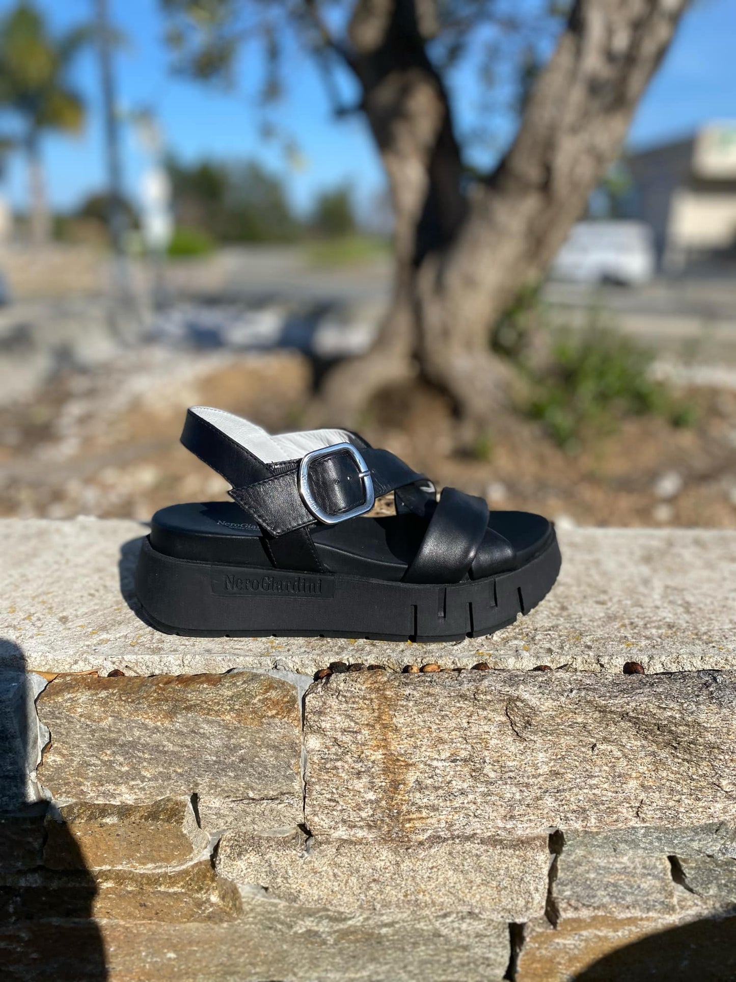 SANDALE E513696D By NERO GIARDINI