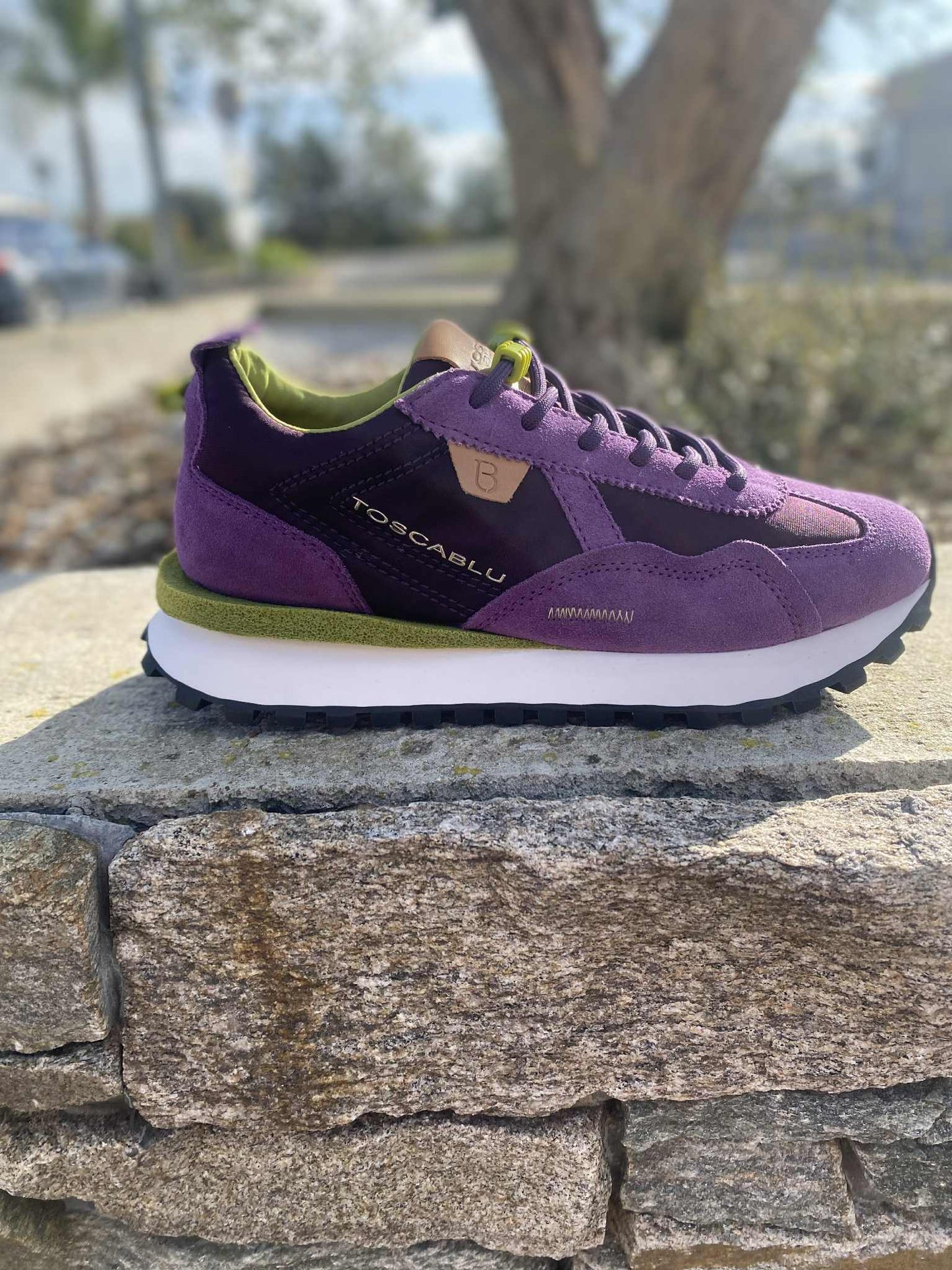 BASKET SF2509 By TOSCABLU