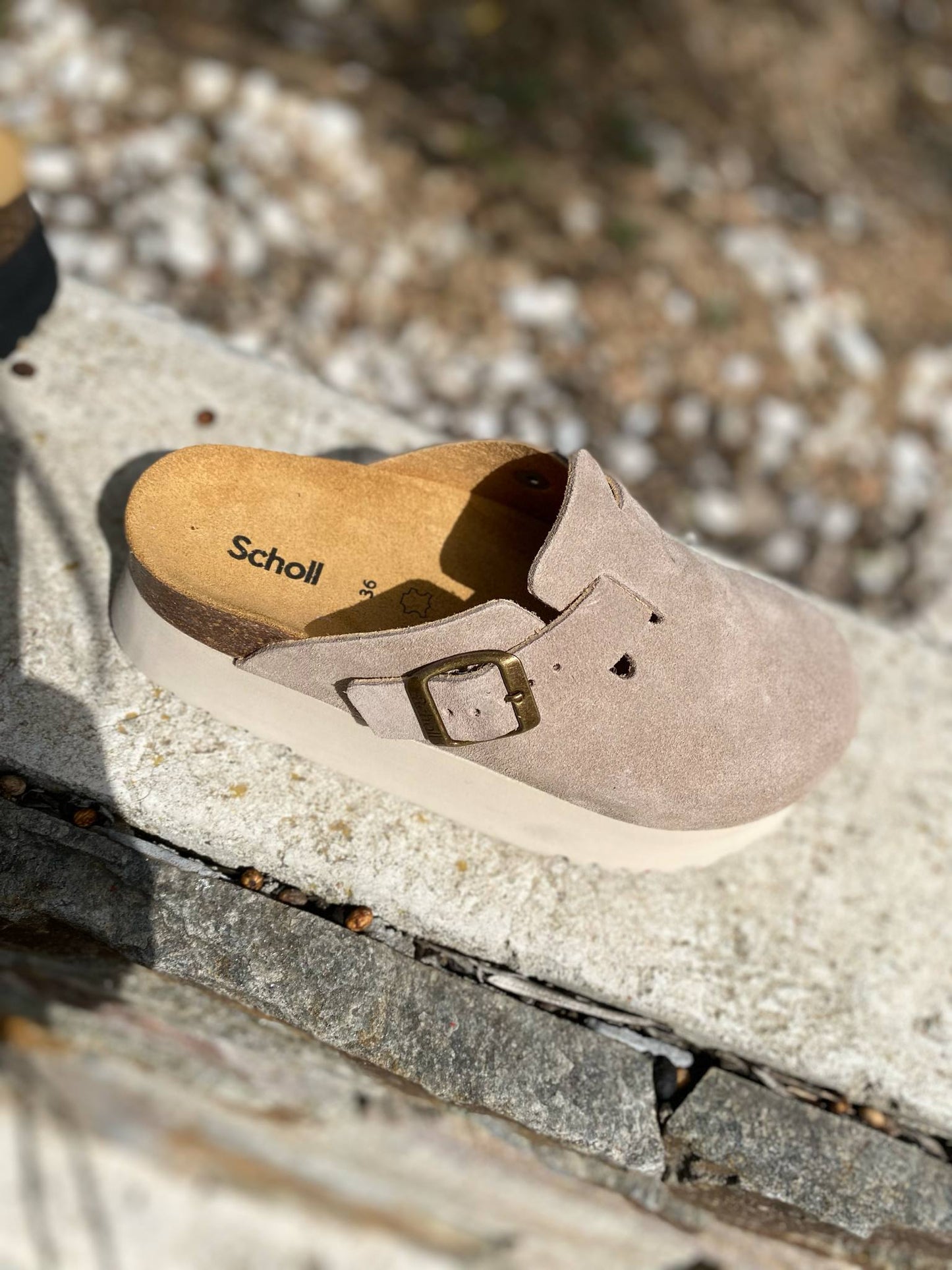 SABOT COMPENSEE JUSTIN By SCHOLL