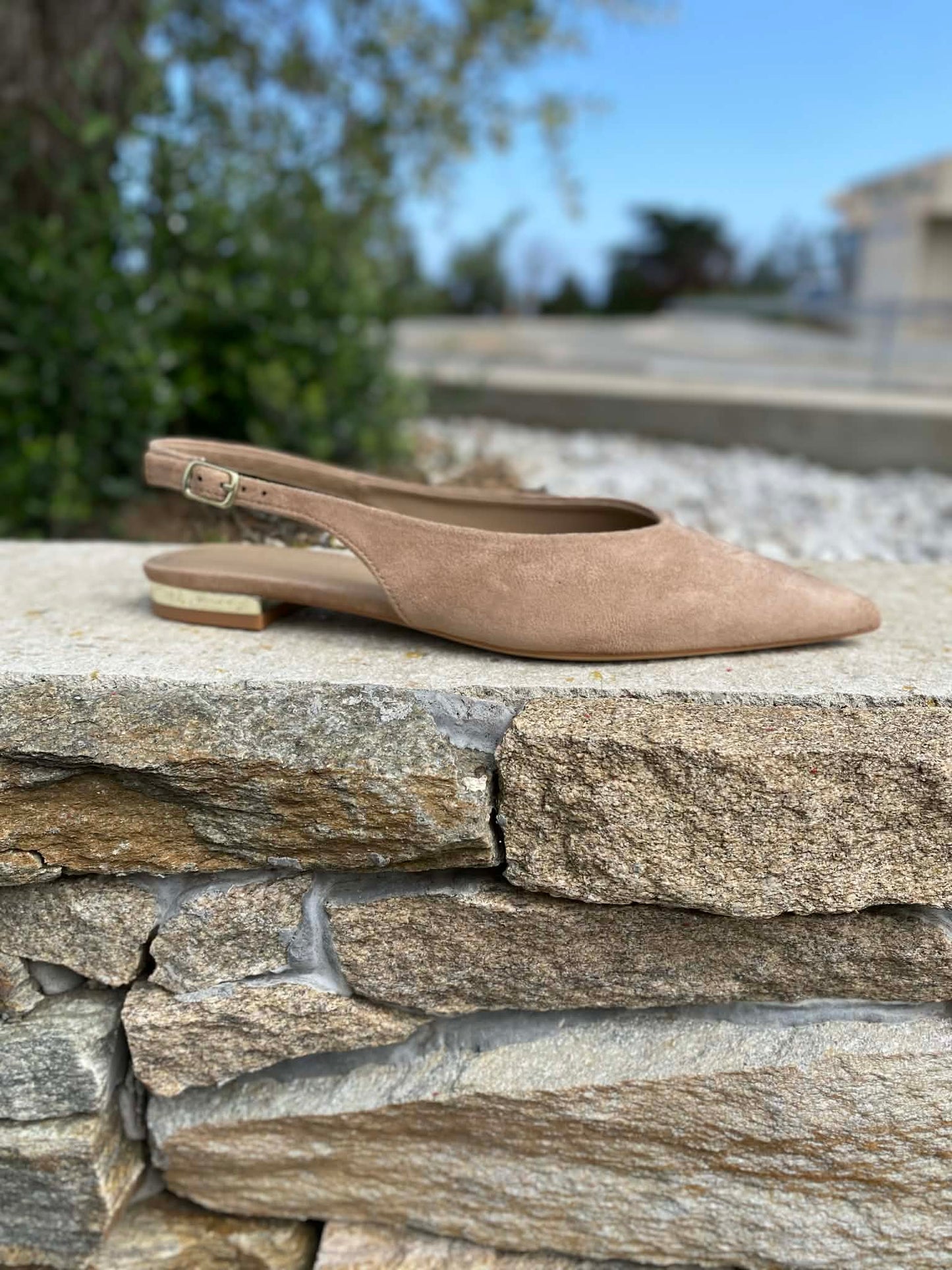 BALLERINE 06026MF By PRIMADONNA