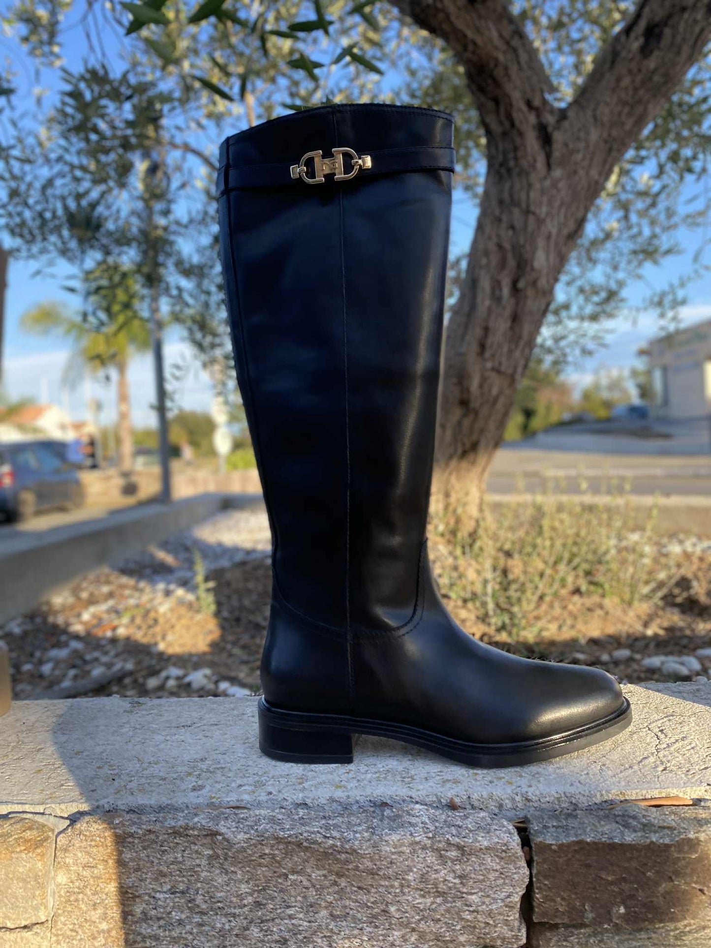 BOTTE I514703D By NERO GIARDINI