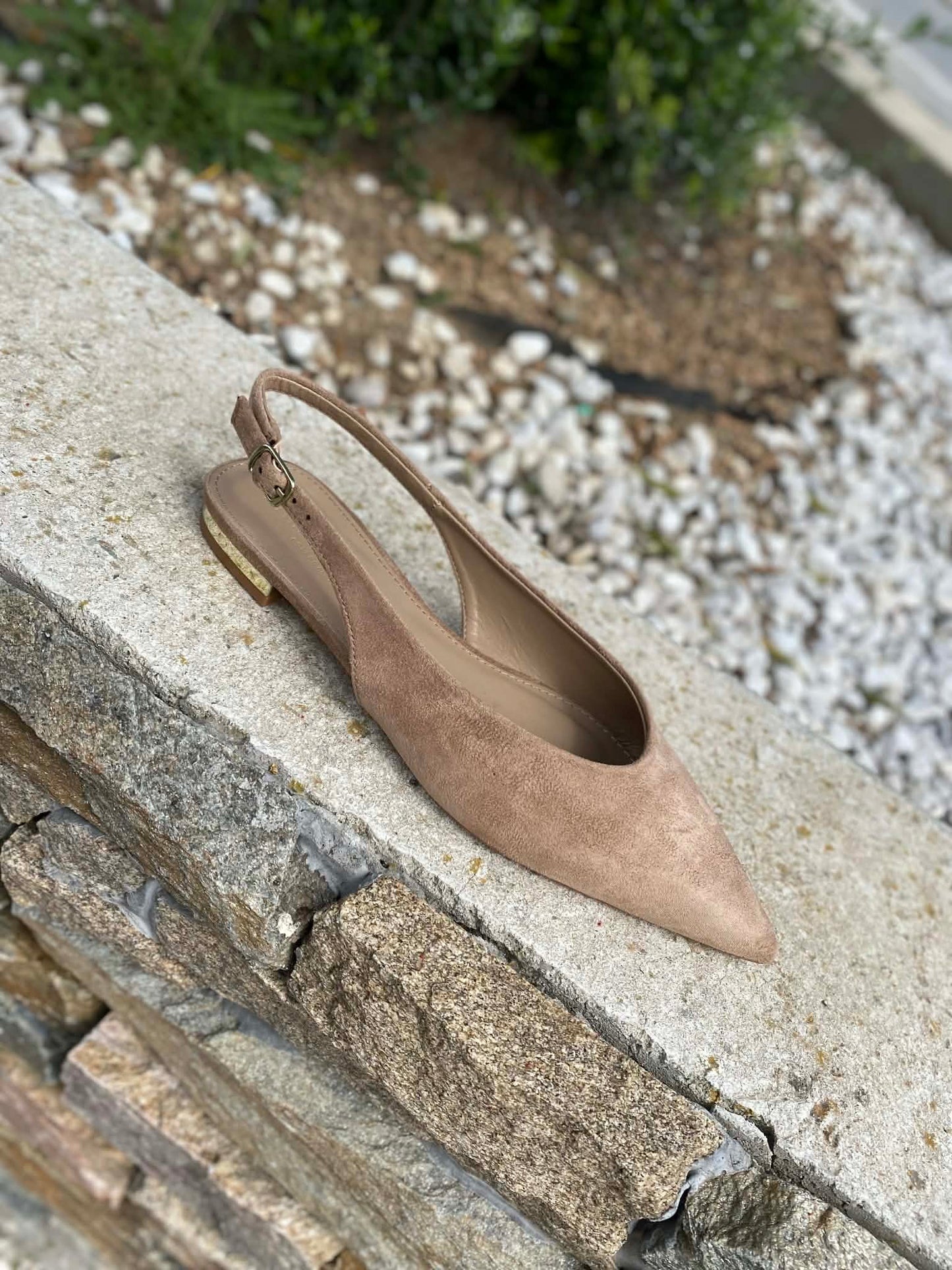 BALLERINE 06026MF By PRIMADONNA