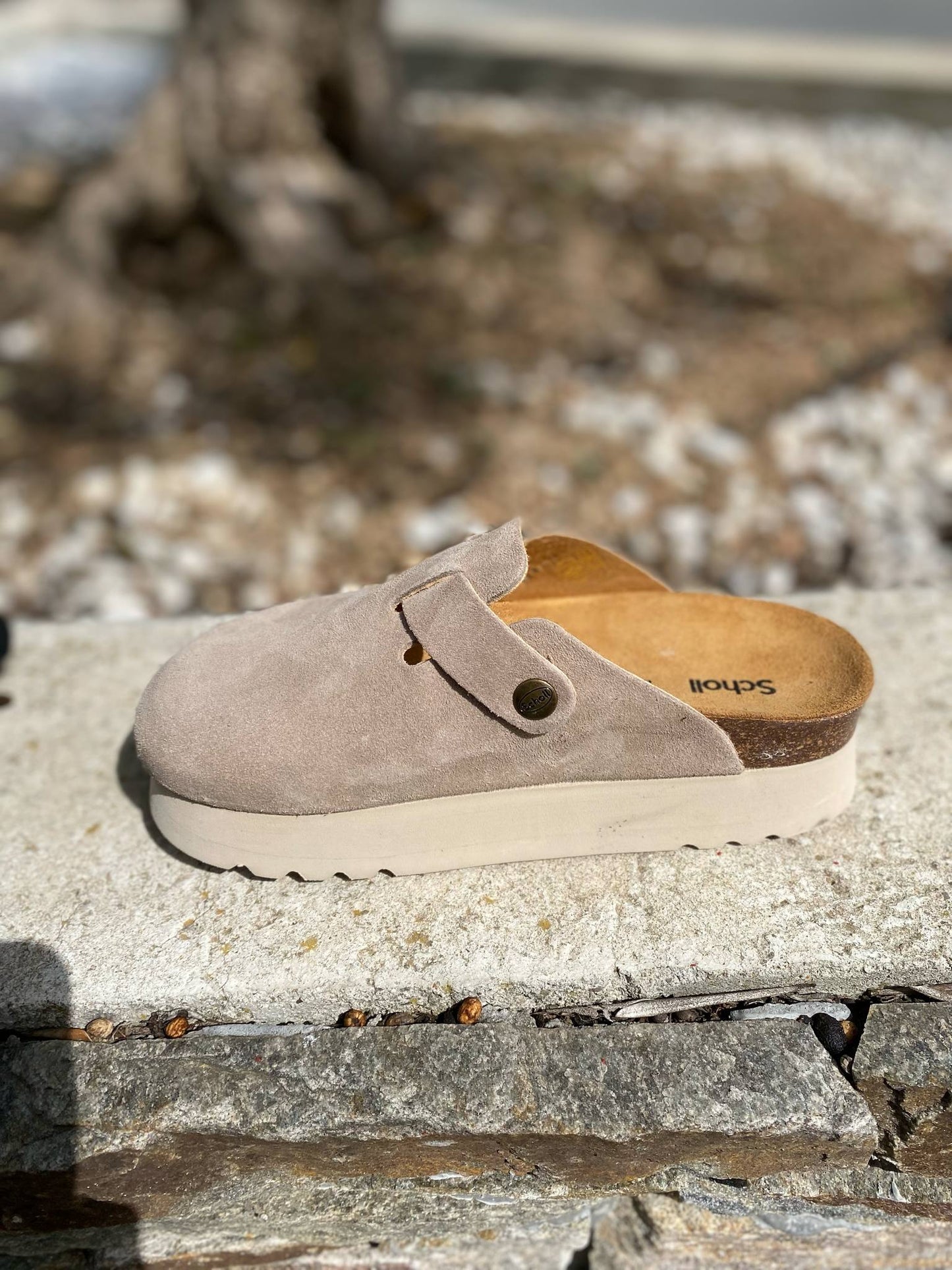 SABOT COMPENSEE JUSTIN By SCHOLL