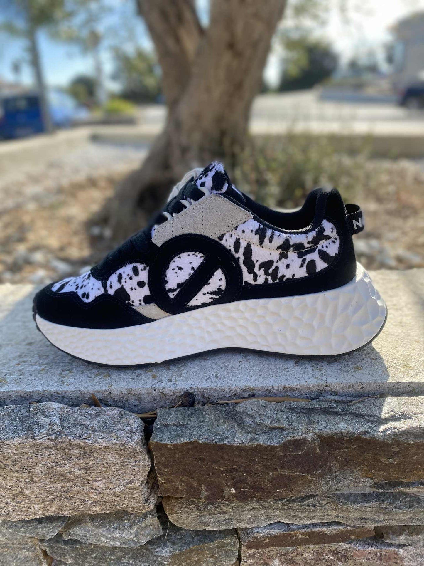 BASKET CARTER By NO NAME