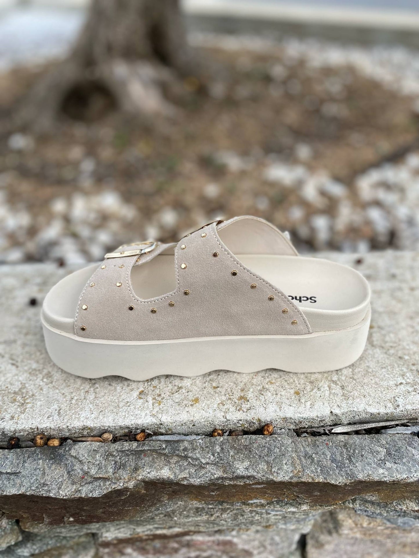 MULE COMPENSE HEATHER By SCHOLL