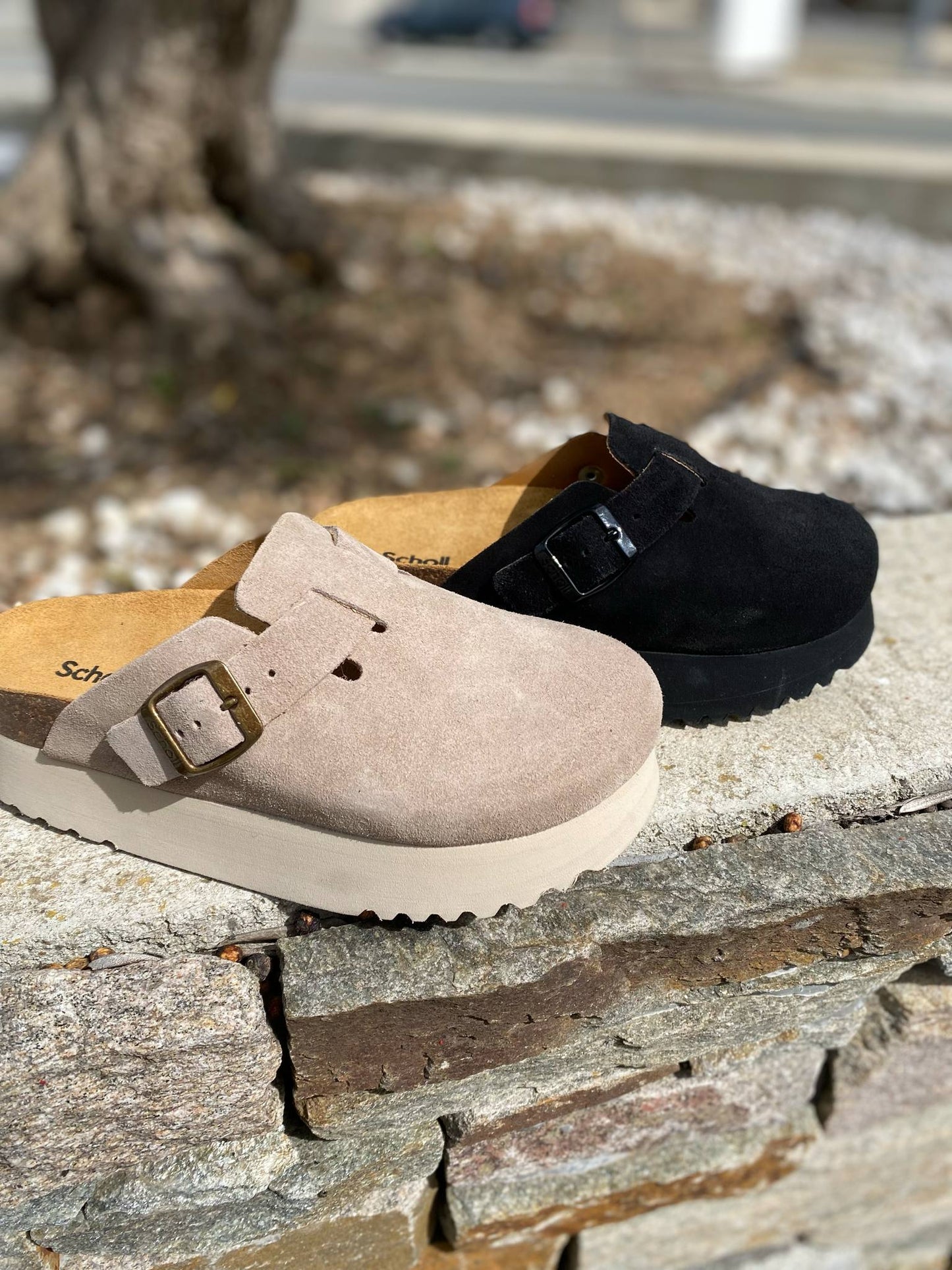 SABOT COMPENSEE JUSTIN By SCHOLL