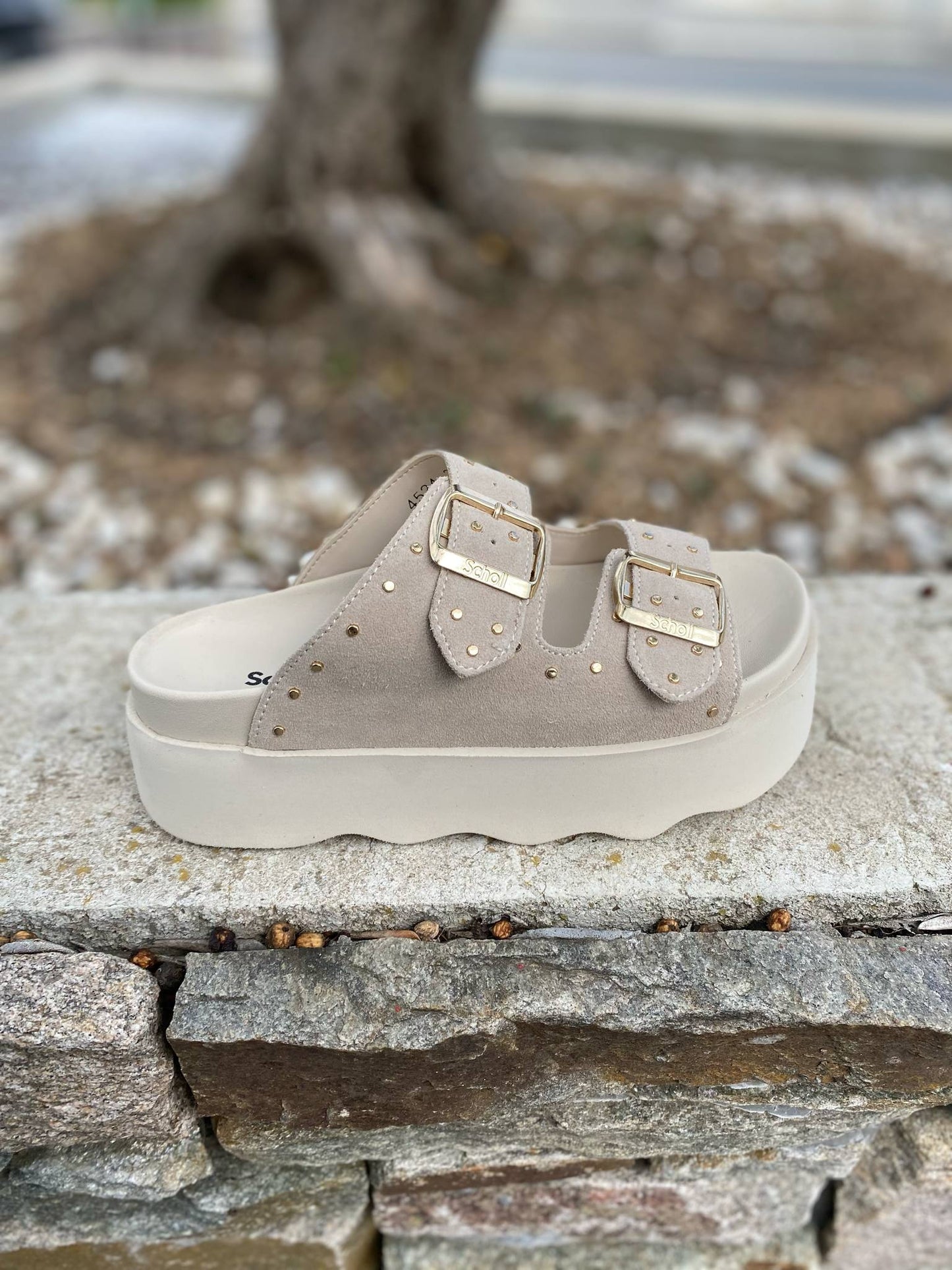 MULE COMPENSE HEATHER By SCHOLL