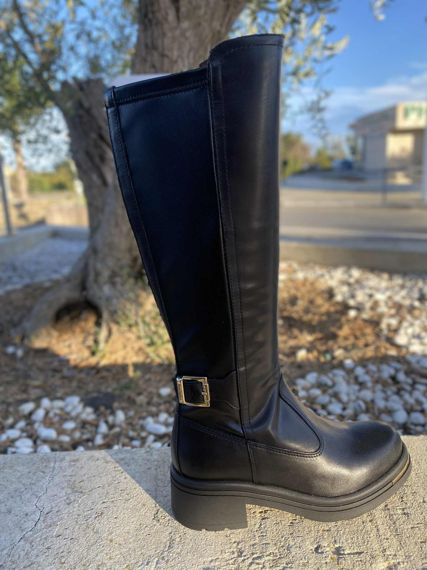 BOTTE I514866D By NERO GIARDINI