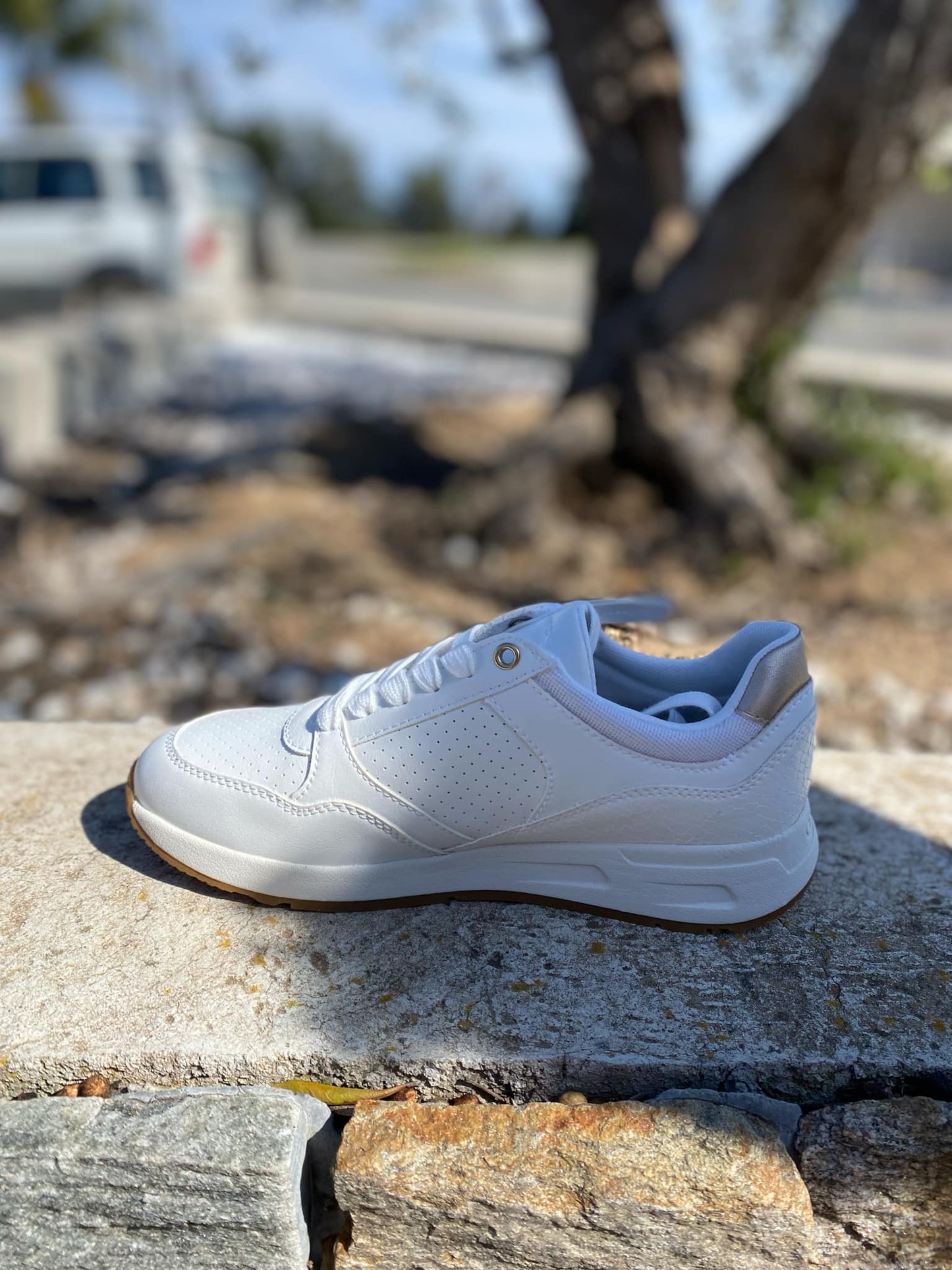 SNEAKERS BLUMYA By GEOX