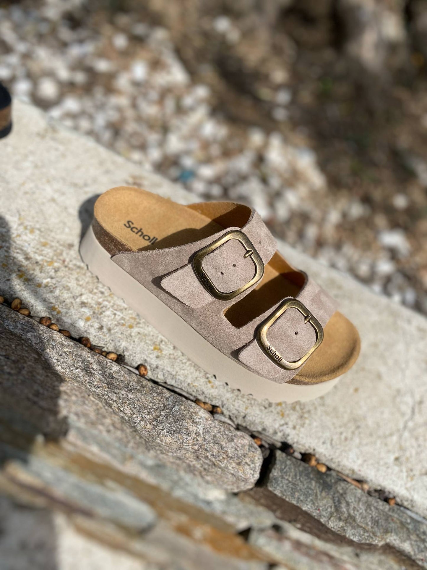 MULE DEUX BRIDES COMPENSEE LUCIE By SCHOLL
