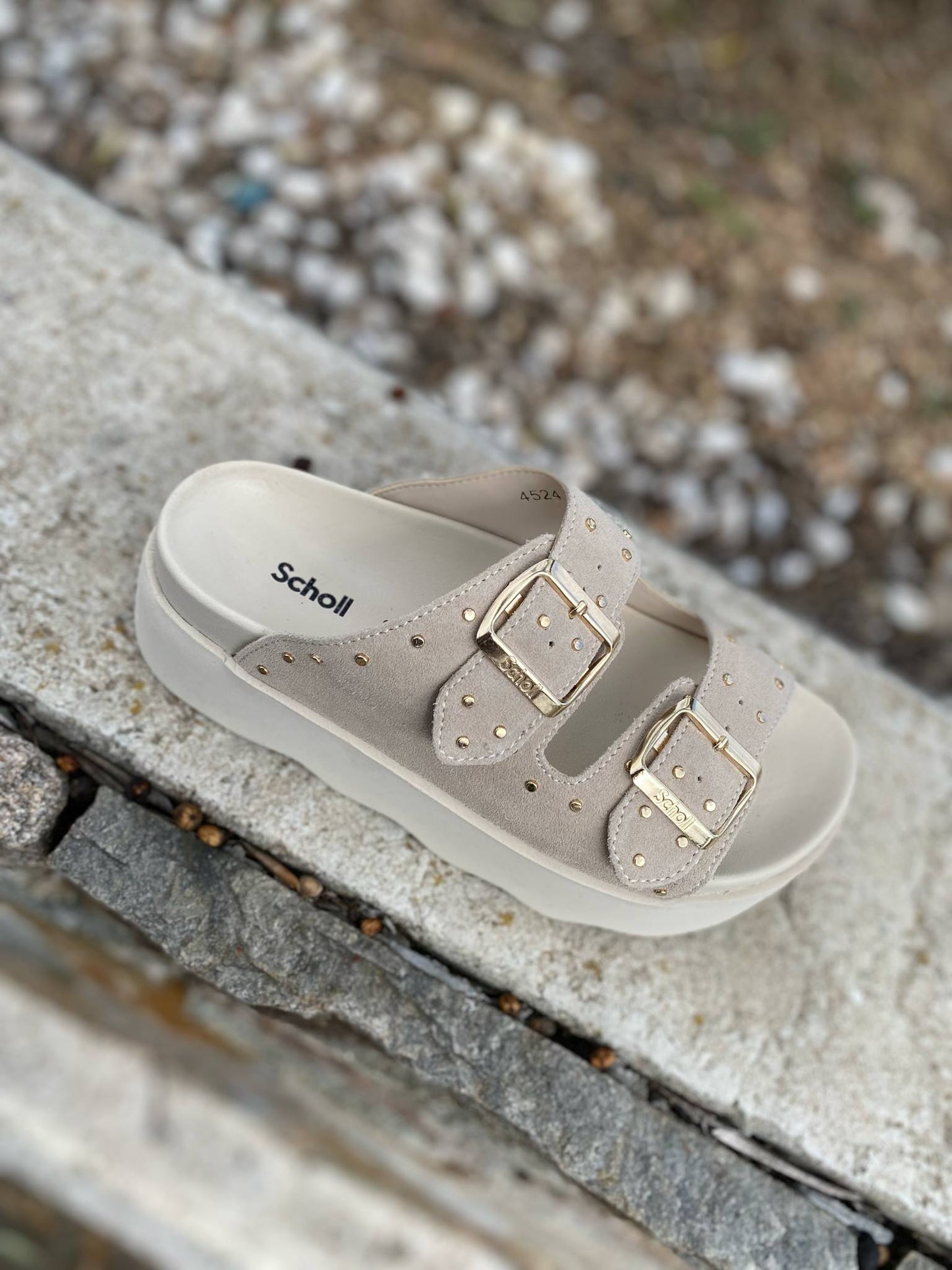 MULE COMPENSE HEATHER By SCHOLL