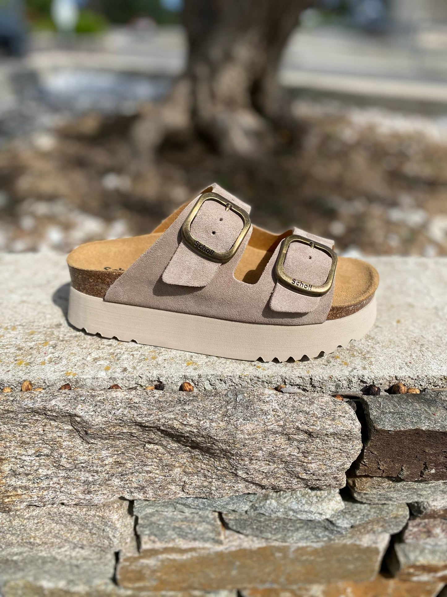 MULE DEUX BRIDES COMPENSEE LUCIE By SCHOLL
