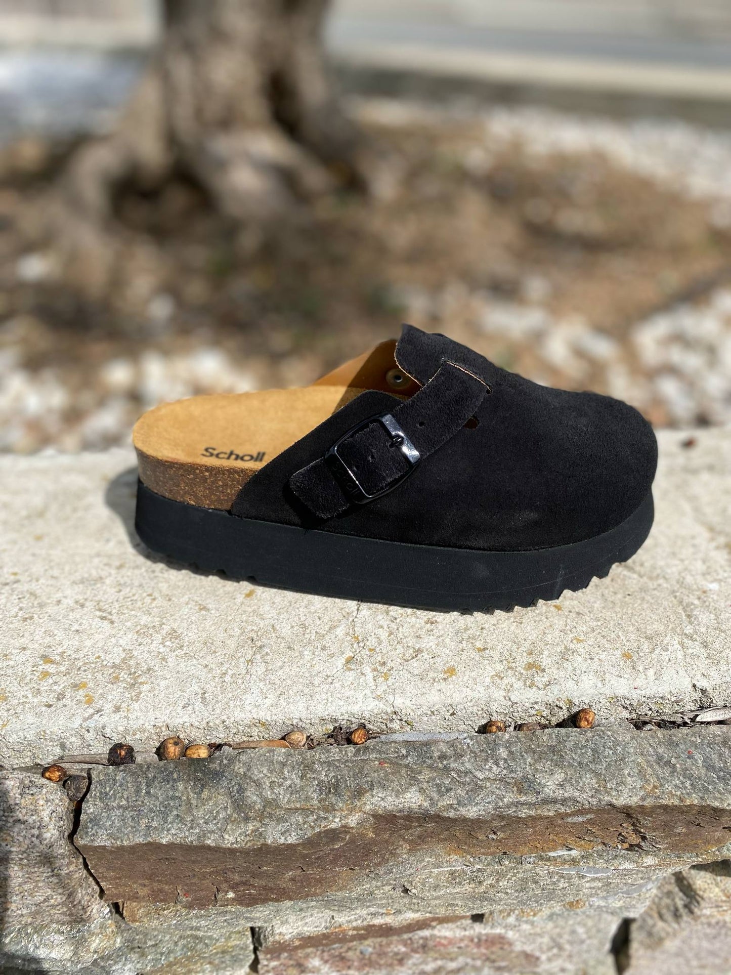 SABOT COMPENSEE JUSTIN By SCHOLL
