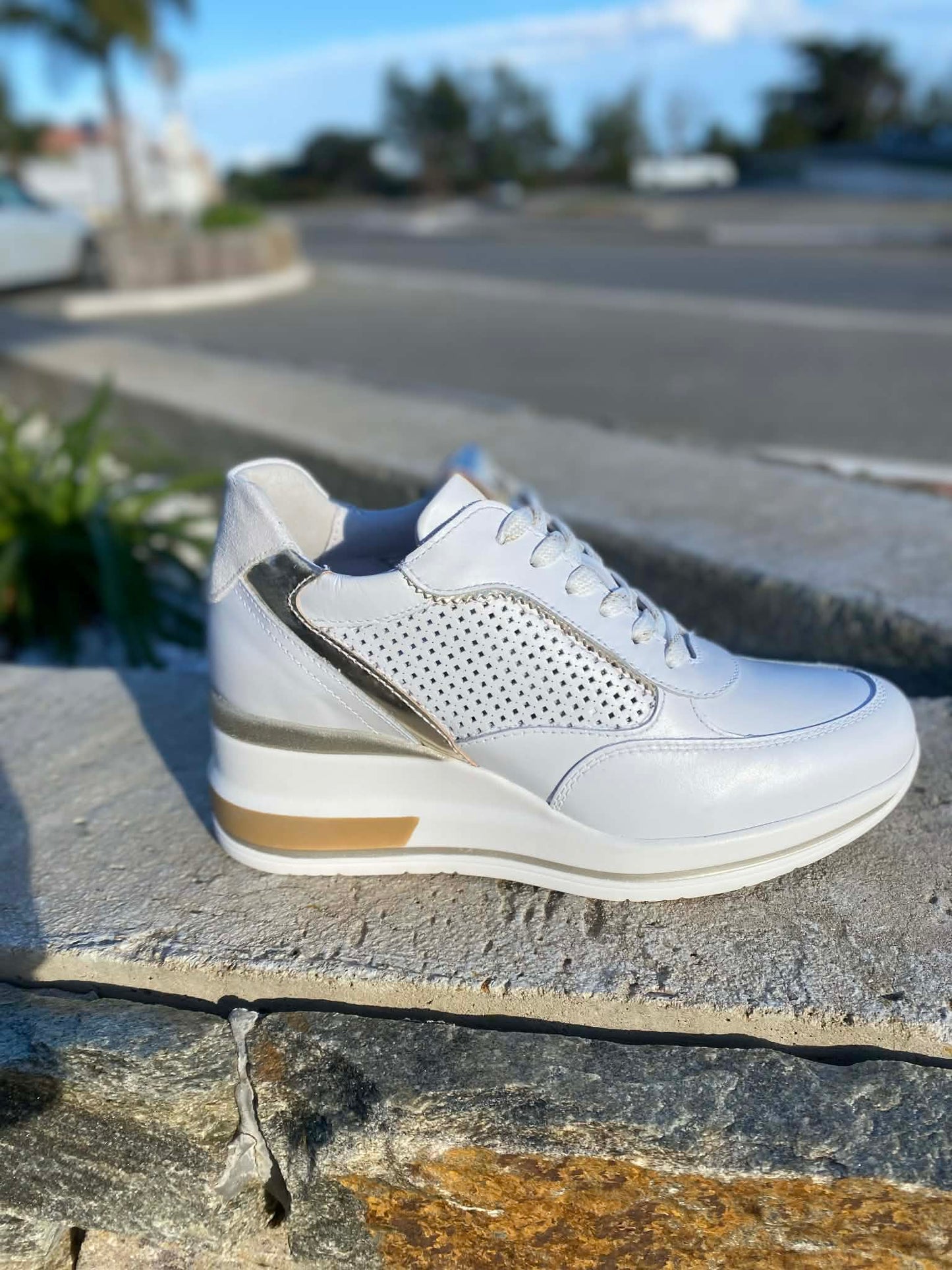 BASKET COMPENSEE E615234D By NERO GIARDINI - impulsion-boutique