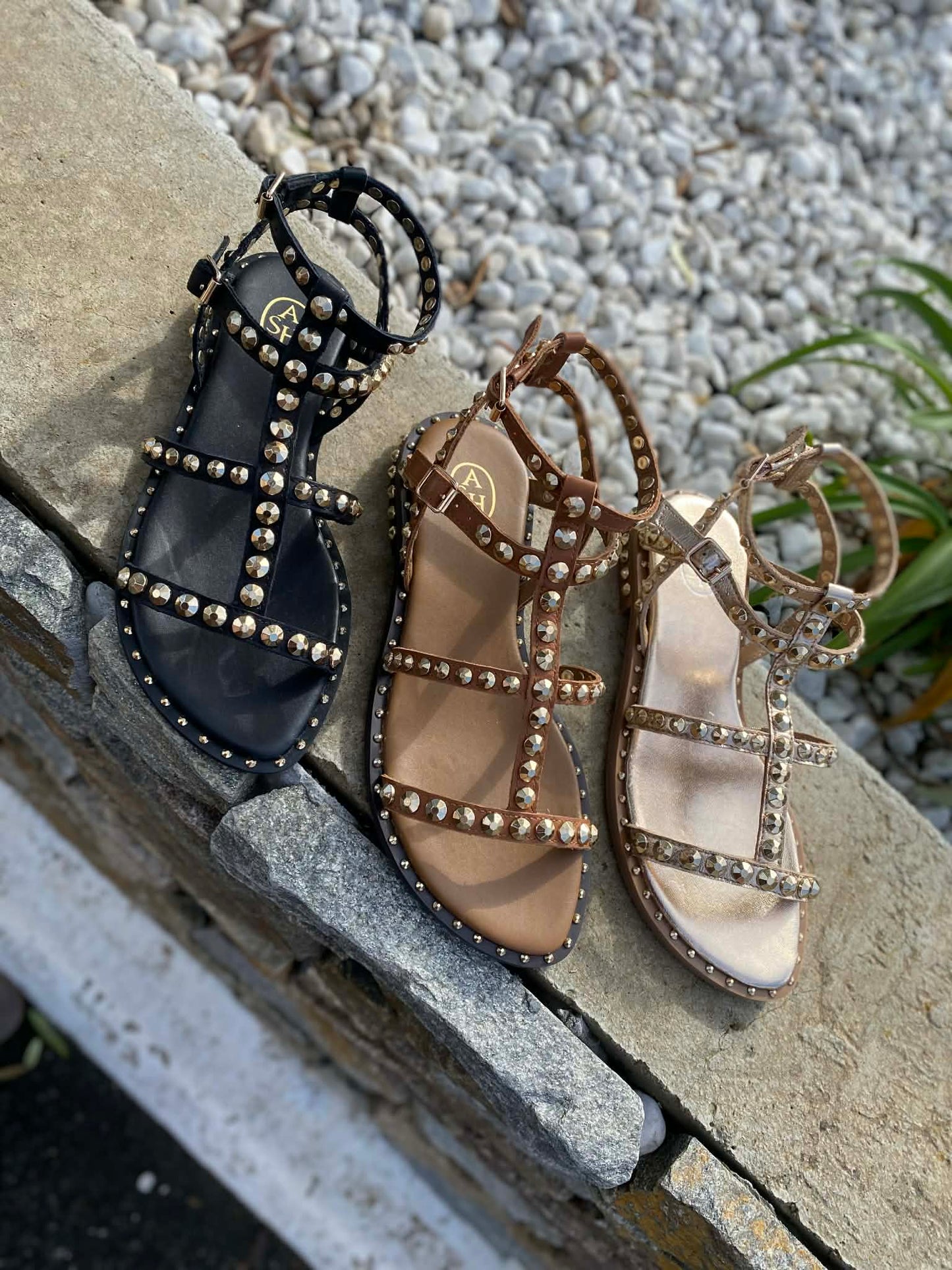 SANDALE CUIR PICOT PRECIOUC By ASH