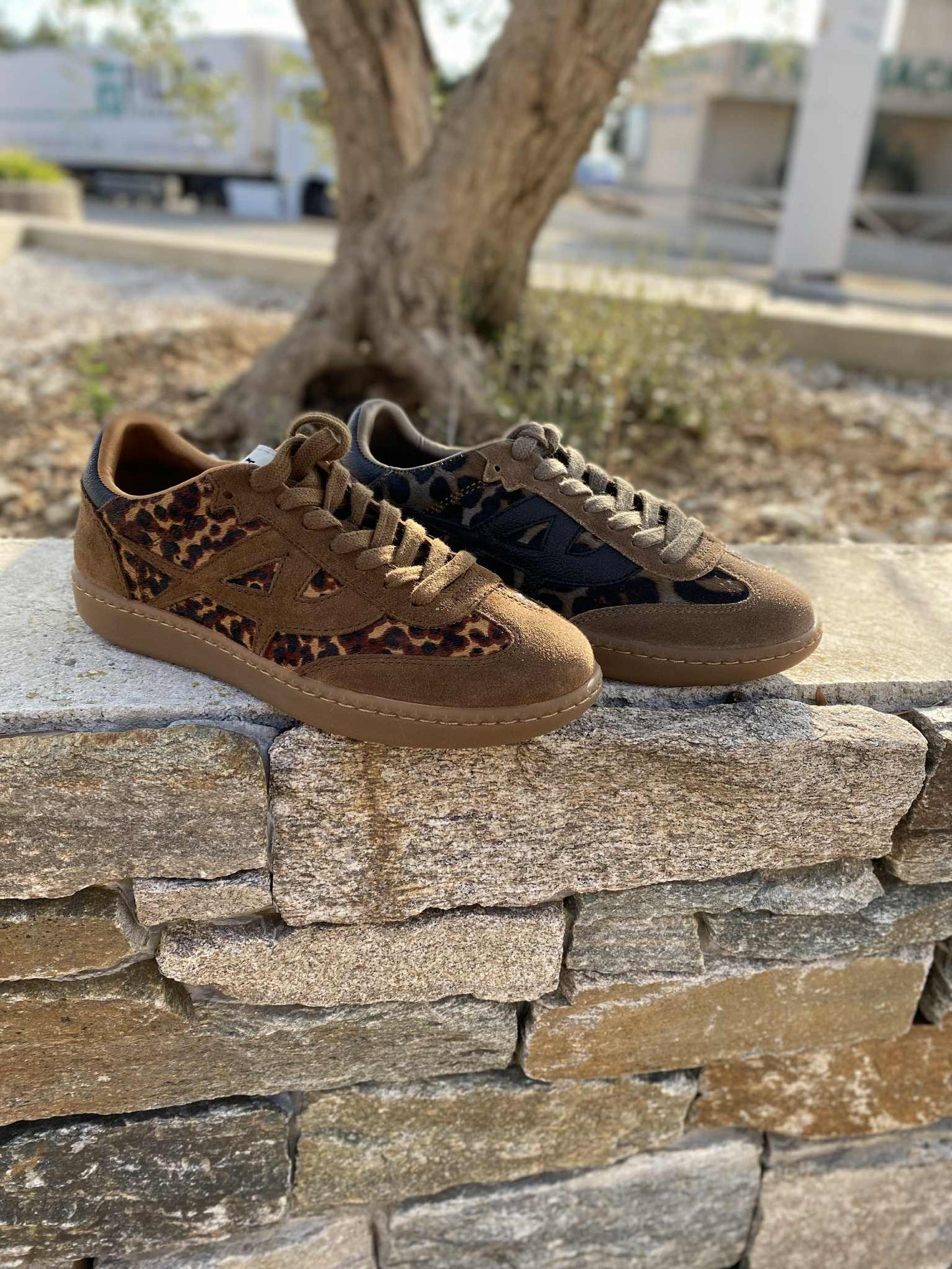 TENNIS IMPRIME SUNSET By ASH