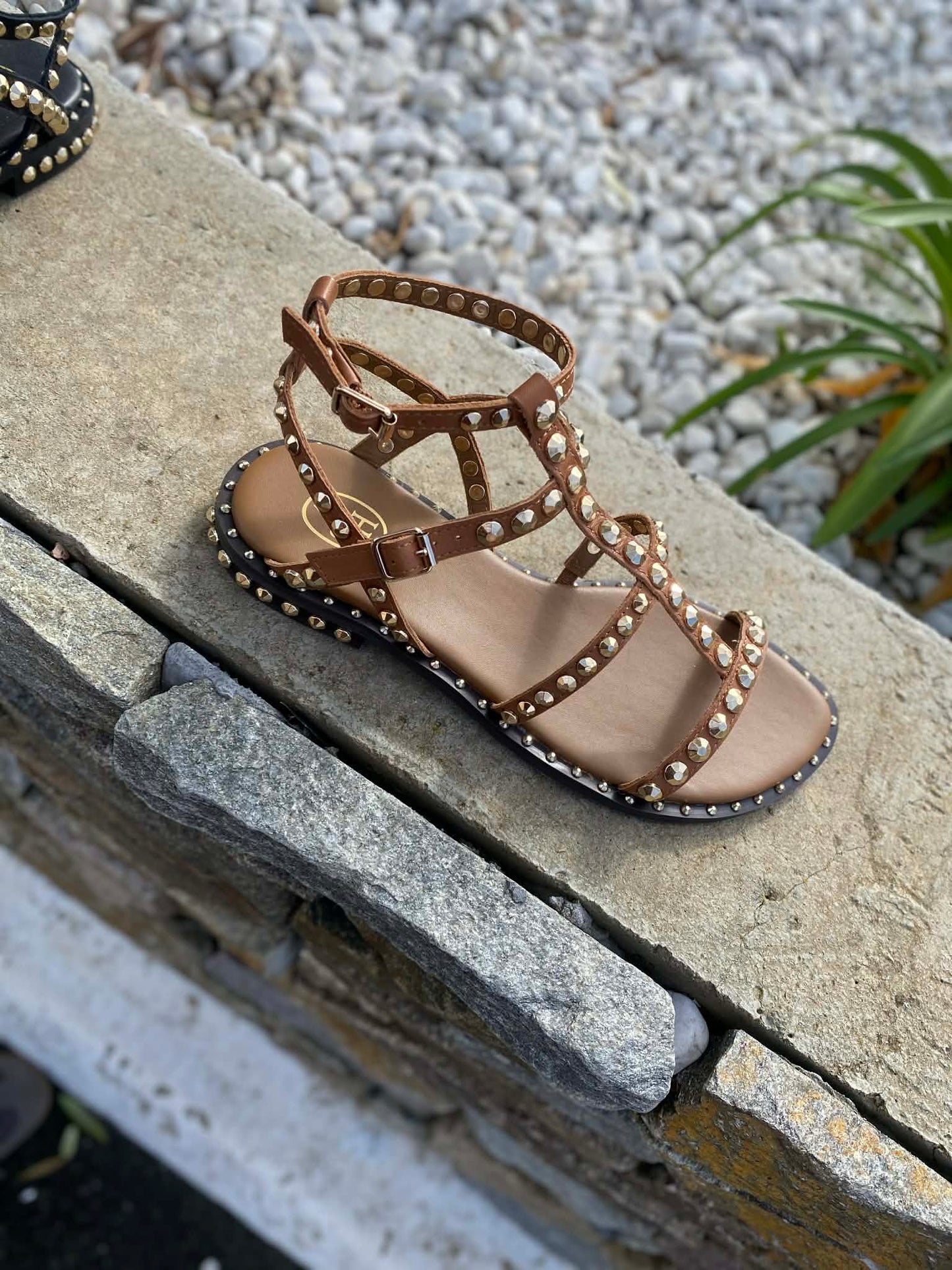 SANDALE CUIR PICOT PRECIOUC By ASH