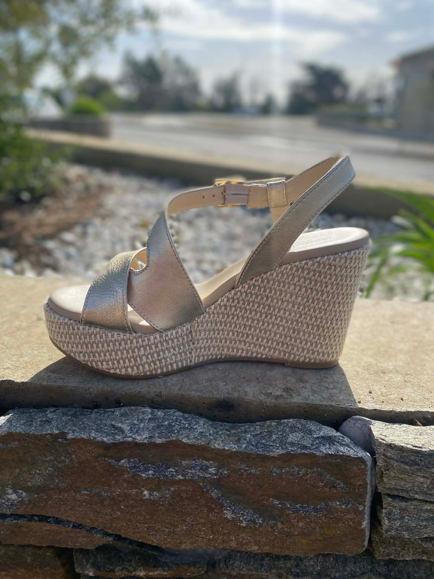 COMPENSEE E616021D By NERO GIARDINI