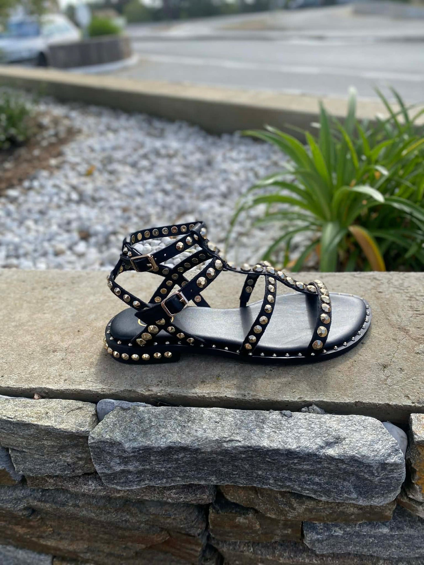SANDALE CUIR PICOT PRECIOUC By ASH