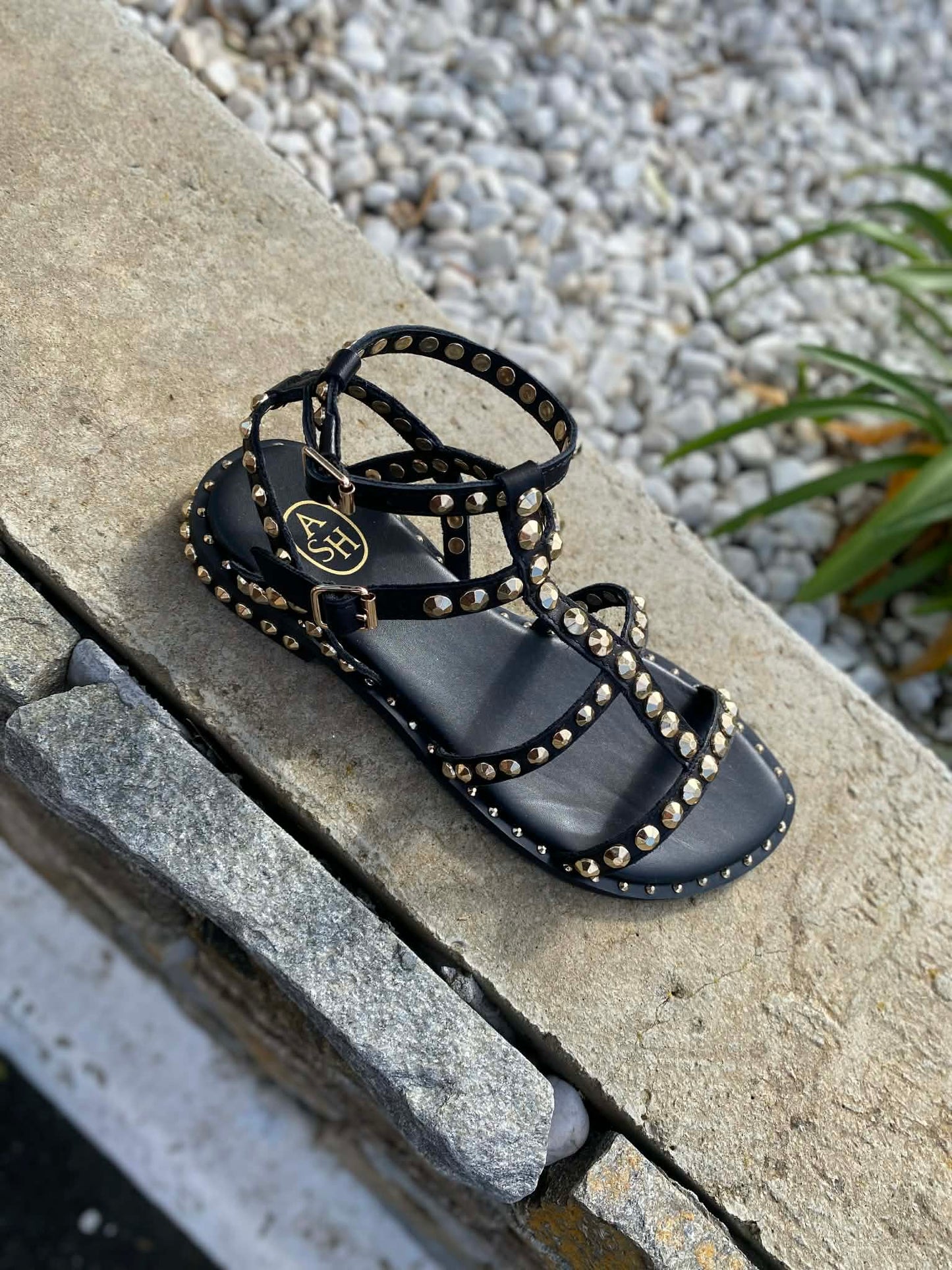 SANDALE CUIR PICOT PRECIOUC By ASH