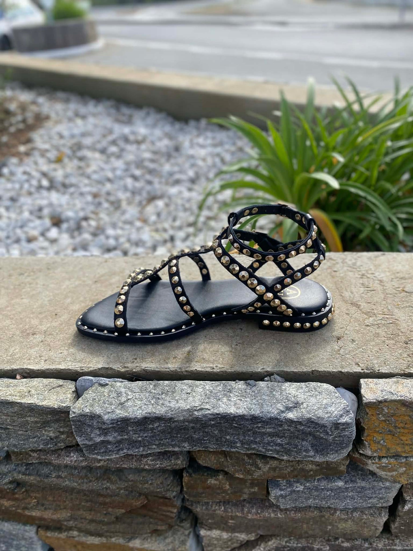 SANDALE CUIR PICOT PRECIOUC By ASH