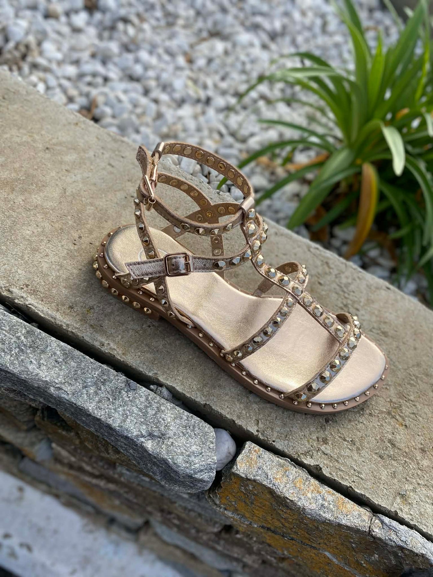 SANDALE CUIR PICOT PRECIOUC By ASH