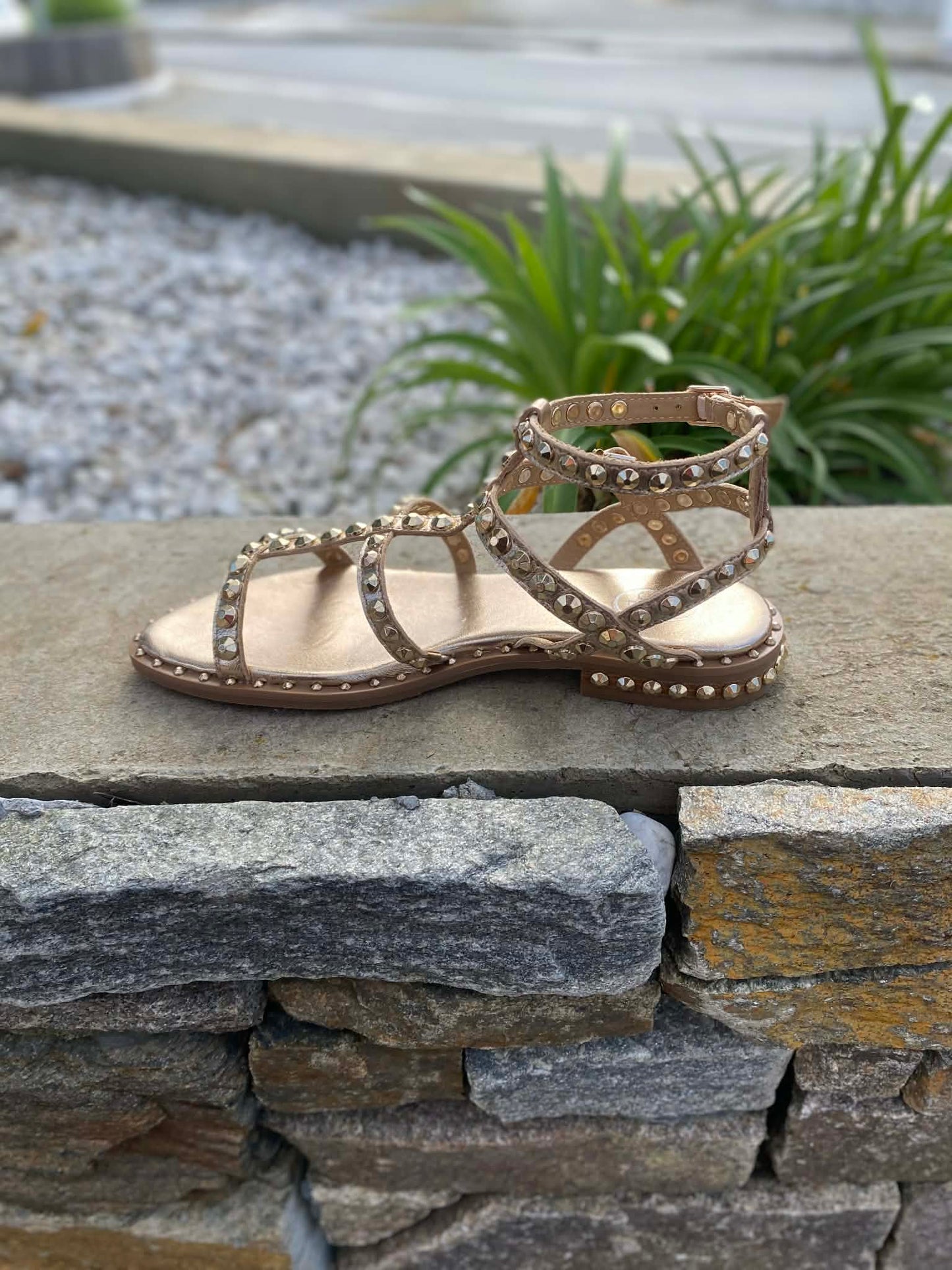 SANDALE CUIR PICOT PRECIOUC By ASH