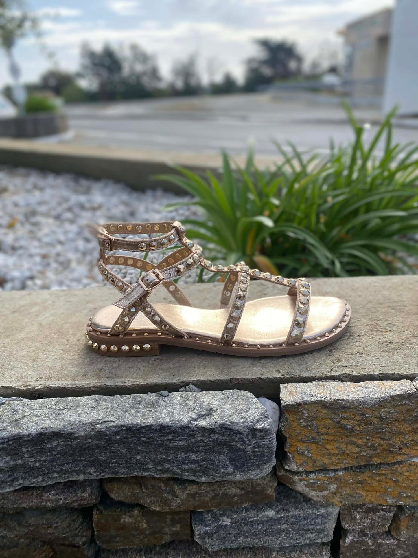 SANDALE CUIR PICOT PRECIOUC By ASH